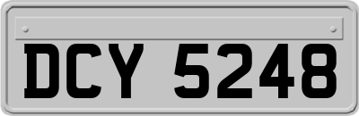 DCY5248