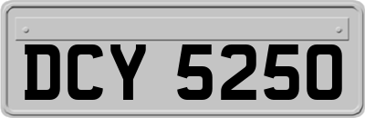DCY5250