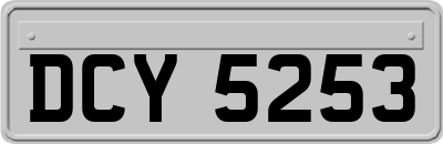 DCY5253