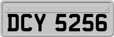 DCY5256