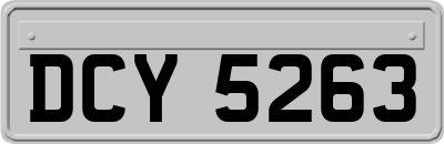 DCY5263