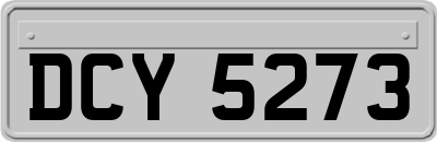 DCY5273