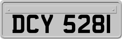 DCY5281
