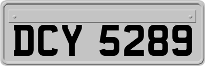 DCY5289
