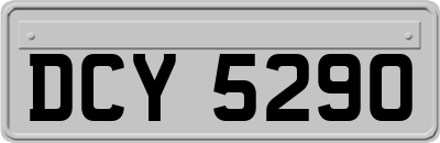 DCY5290