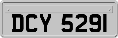 DCY5291