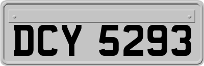 DCY5293