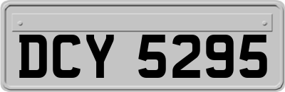 DCY5295