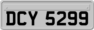 DCY5299