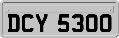DCY5300