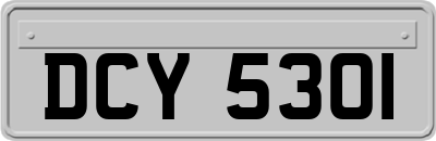 DCY5301