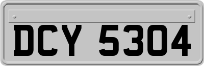 DCY5304