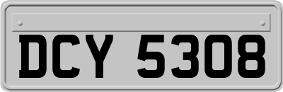 DCY5308
