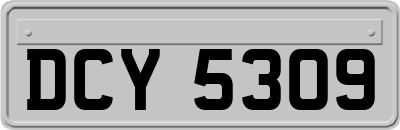 DCY5309