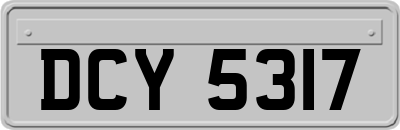 DCY5317