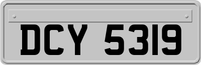 DCY5319