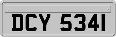 DCY5341