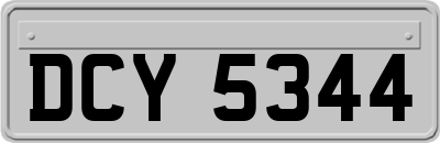 DCY5344