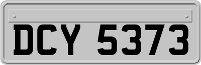 DCY5373