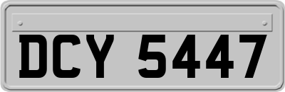 DCY5447