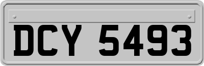 DCY5493