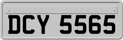 DCY5565