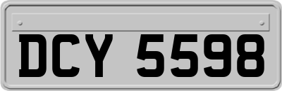 DCY5598