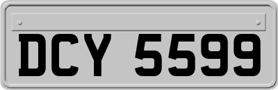 DCY5599