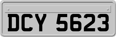DCY5623