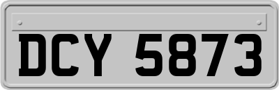 DCY5873