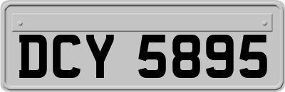 DCY5895