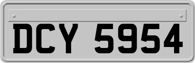 DCY5954