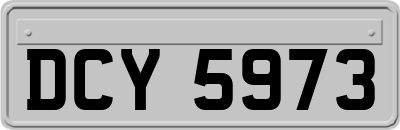 DCY5973