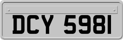 DCY5981