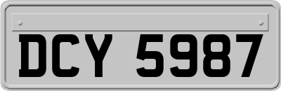 DCY5987