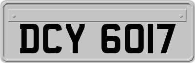 DCY6017