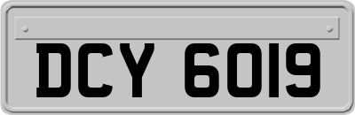 DCY6019
