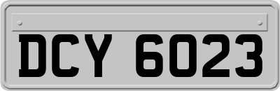 DCY6023