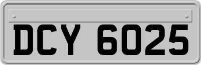 DCY6025