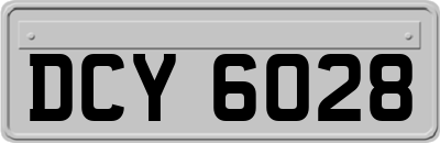 DCY6028