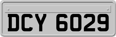 DCY6029