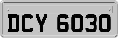 DCY6030