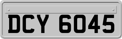 DCY6045