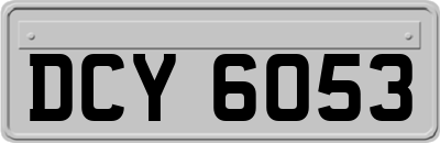 DCY6053