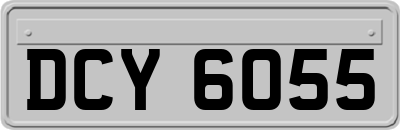 DCY6055