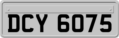 DCY6075