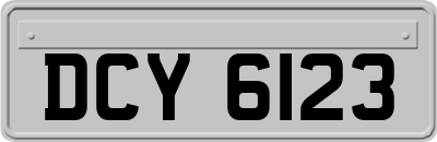 DCY6123