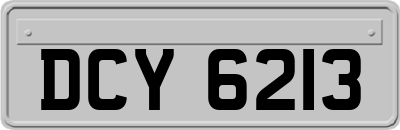 DCY6213
