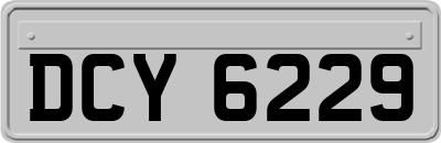 DCY6229