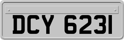DCY6231